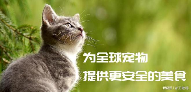 心品质引领宠物食品新风尚不朽情缘网站汉欧