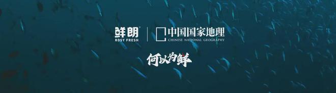 国内首个《鲜肉烘焙全价宠物食品》标准不朽情缘平台从开创到引领：鲜朗发布(图9)