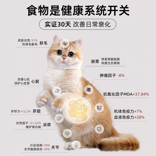?2025年十大猫粮口碑榜实测解析不朽情缘试玩版哪些猫粮牌子比较好(图6) ?2025年十大猫粮口碑榜实测解析不朽情缘试玩版哪些猫粮牌子比较好(图6)